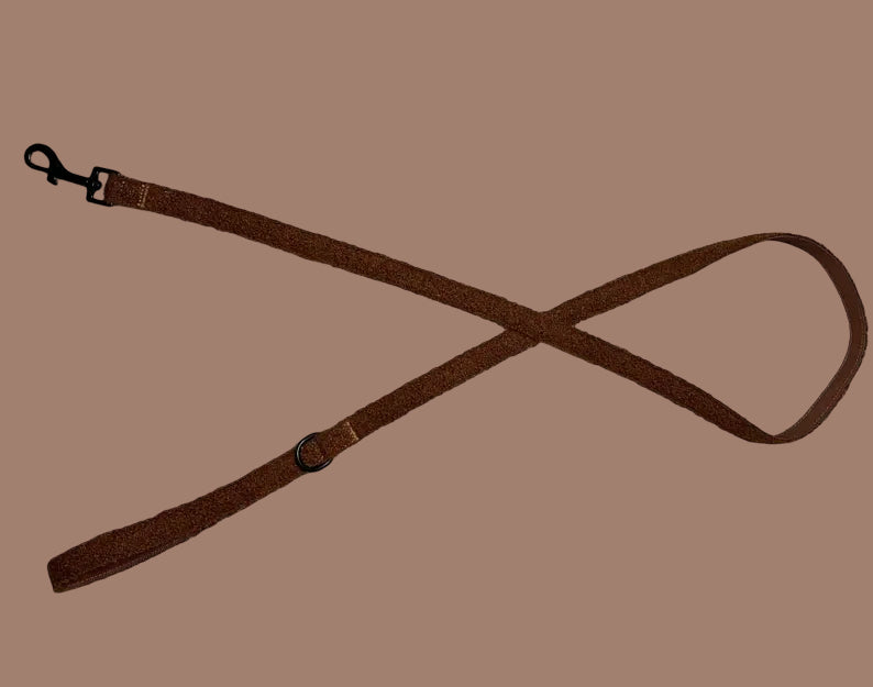 Teddy Lead