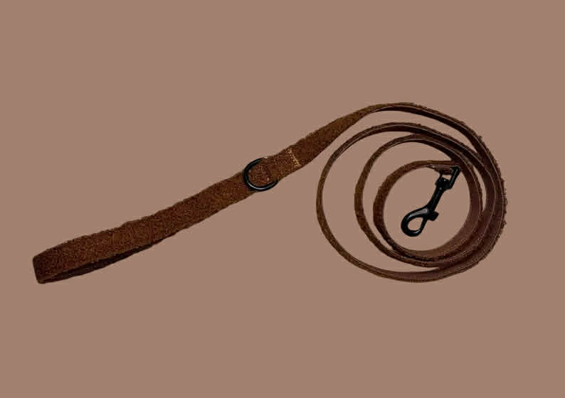 Teddy Lead