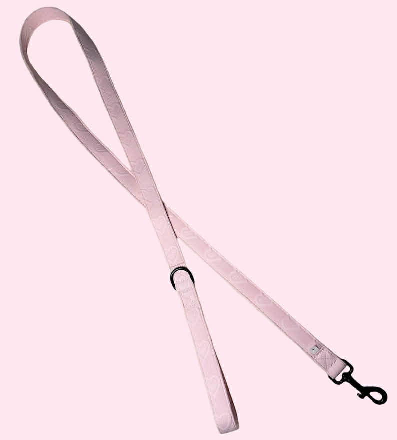 Pink Hearts Lead