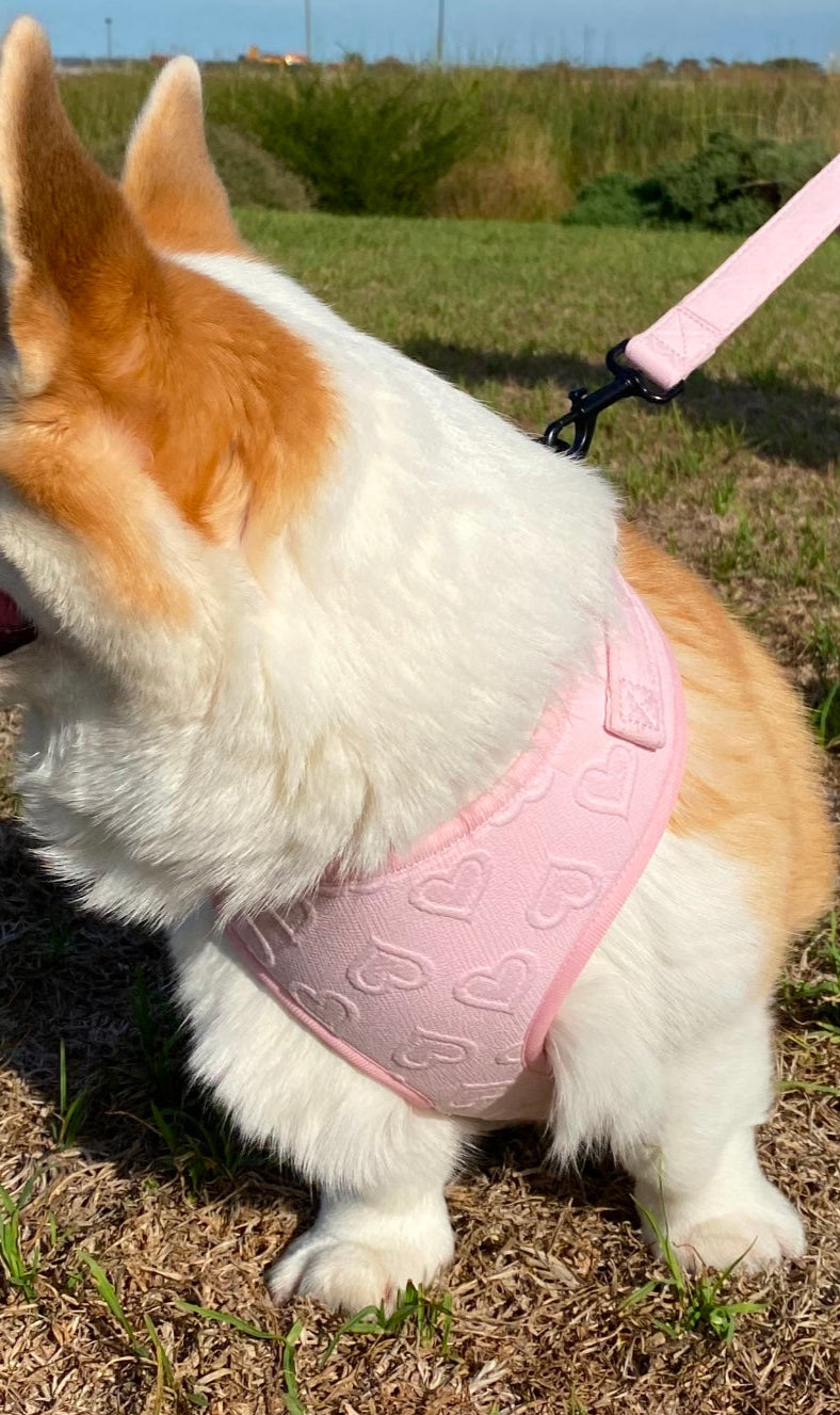 Pink Hearts Adjustable Harness