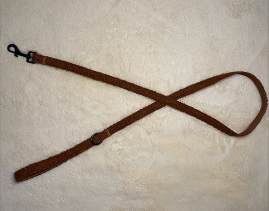 Teddy Lead